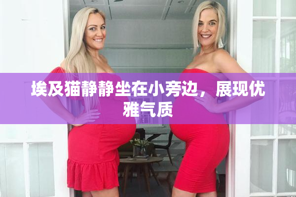 埃及猫静静坐在小旁边，展现优雅气质