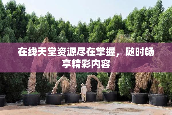 在线天堂资源尽在掌握，随时畅享精彩内容