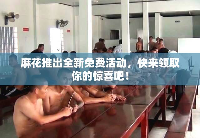 麻花推出全新免费活动，快来领取你的惊喜吧！