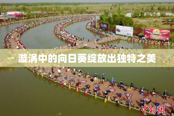 漩涡中的向日葵绽放出独特之美
