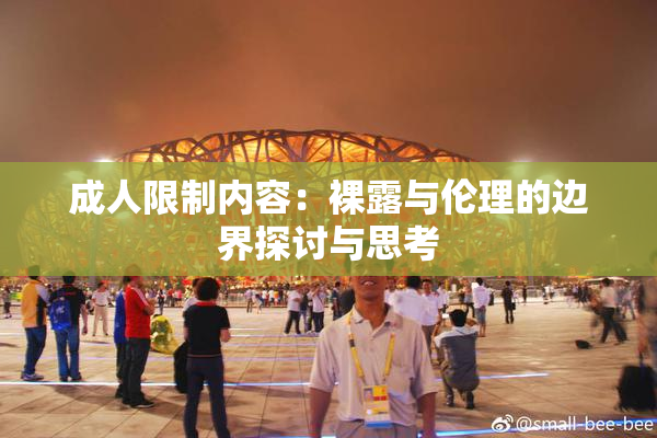 成人限制内容：裸露与伦理的边界探讨与思考