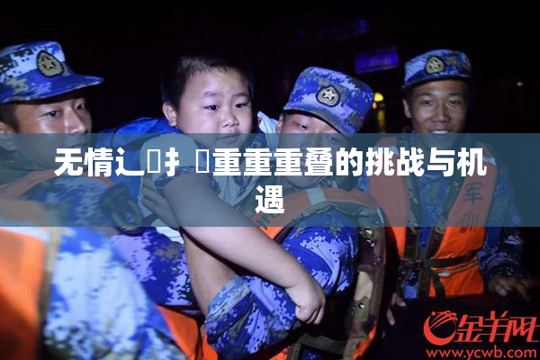 无情辶喿扌畐重重重叠的挑战与机遇