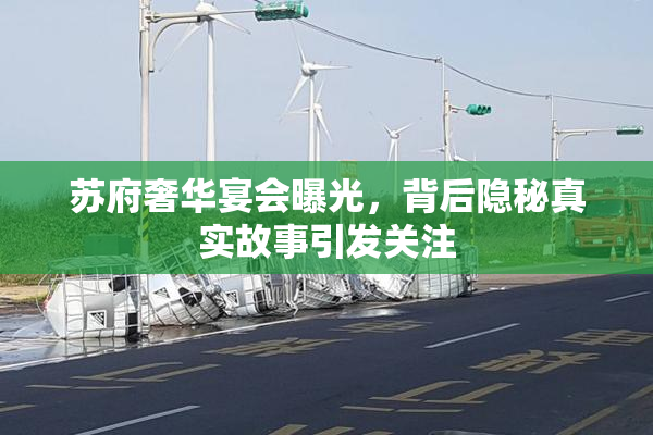 苏府奢华宴会曝光，背后隐秘真实故事引发关注