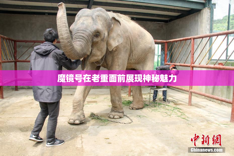 魔镜号在老重面前展现神秘魅力