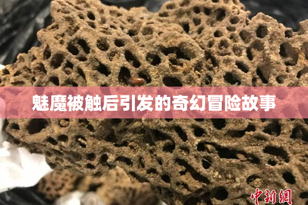 魅魔被触后引发的奇幻冒险故事