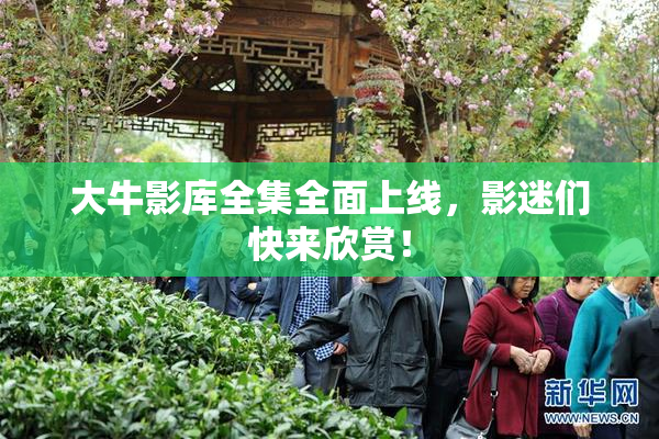 大牛影库全集全面上线，影迷们快来欣赏！