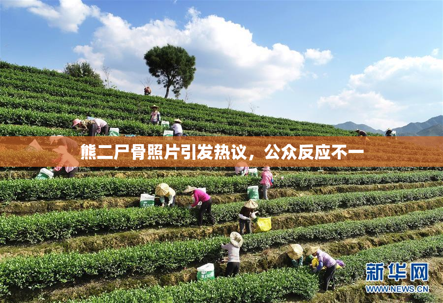熊二尸骨照片引发热议，公众反应不一