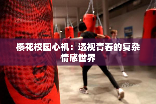 樱花校园心机：透视青春的复杂情感世界