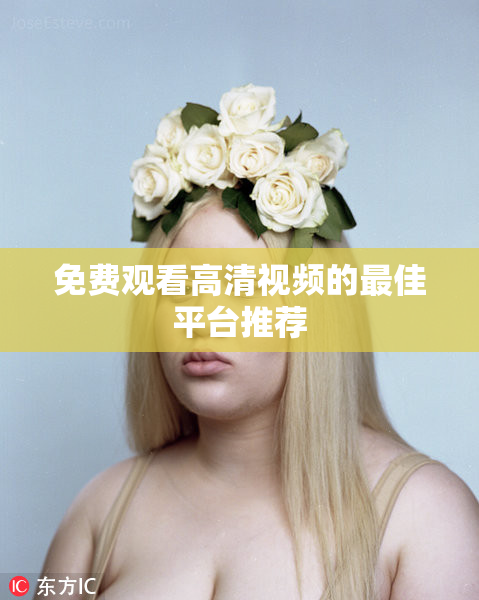 免费观看高清视频的最佳平台推荐