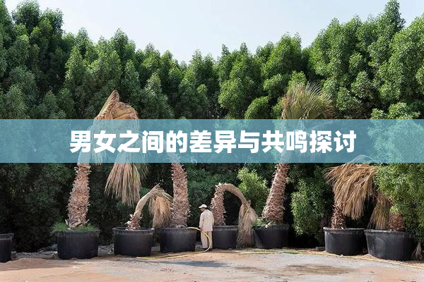 男女之间的差异与共鸣探讨