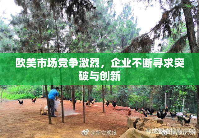 欧美市场竞争激烈，企业不断寻求突破与创新