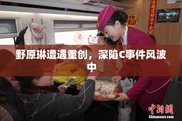 野原琳遭遇重创，深陷C事件风波中