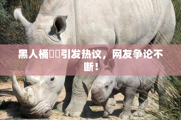 黑人桶❌‌引发热议，网友争论不断！
