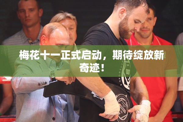梅花十一正式启动，期待绽放新奇迹！