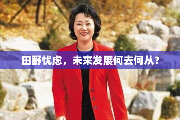 田野忧虑，未来发展何去何从？