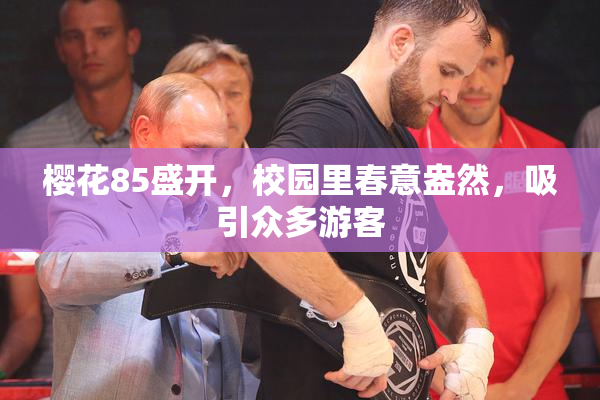 樱花85盛开，校园里春意盎然，吸引众多游客
