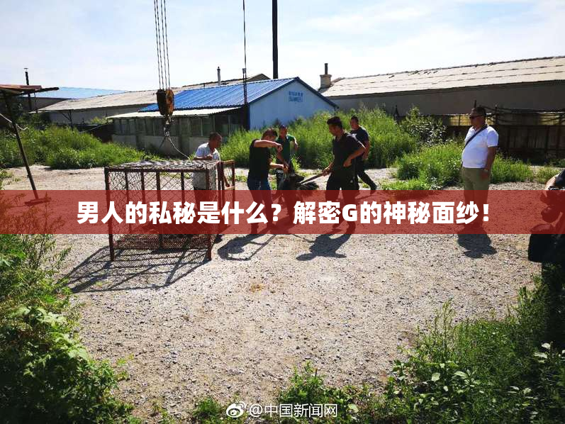 男人的私秘是什么？解密G的神秘面纱！