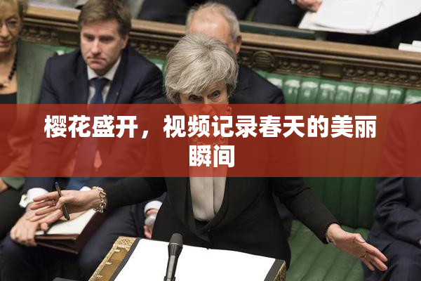 樱花盛开，视频记录春天的美丽瞬间