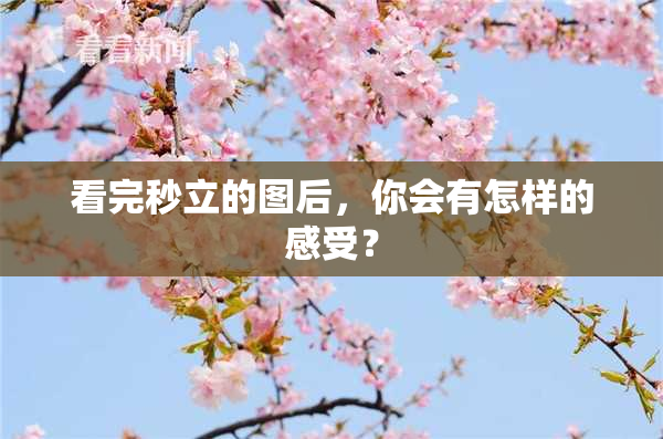 看完秒立的图后，你会有怎样的感受？