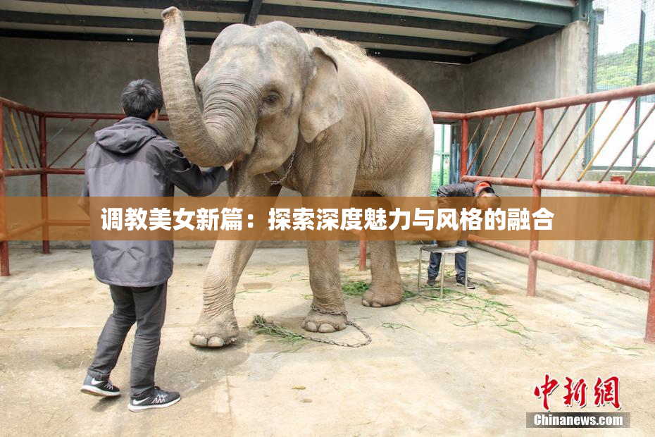 调教美女新篇：探索深度魅力与风格的融合