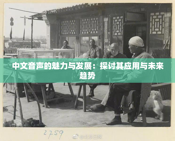 中文音声的魅力与发展：探讨其应用与未来趋势