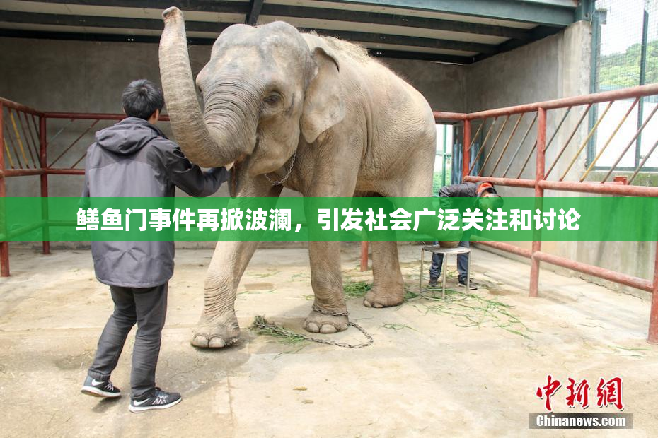 鳝鱼门事件再掀波澜，引发社会广泛关注和讨论
