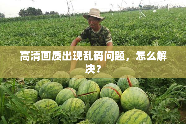 高清画质出现乱码问题，怎么解决？