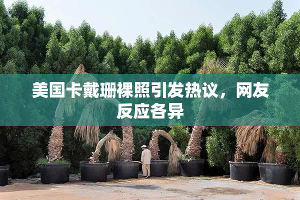 美国卡戴珊裸照引发热议，网友反应各异