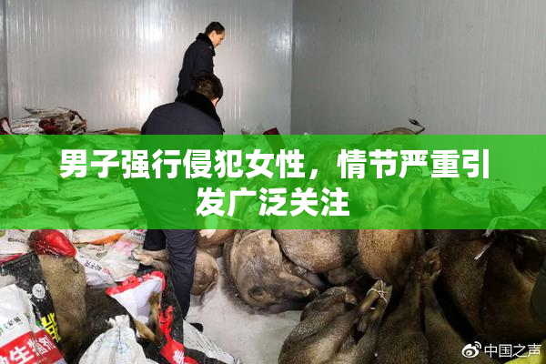 男子强行侵犯女性，情节严重引发广泛关注
