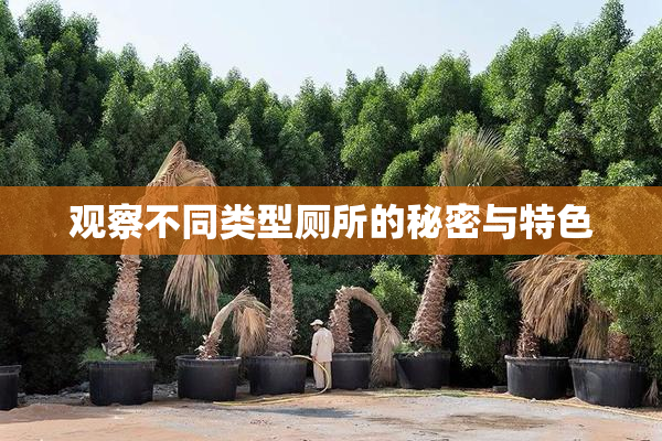 观察不同类型厕所的秘密与特色