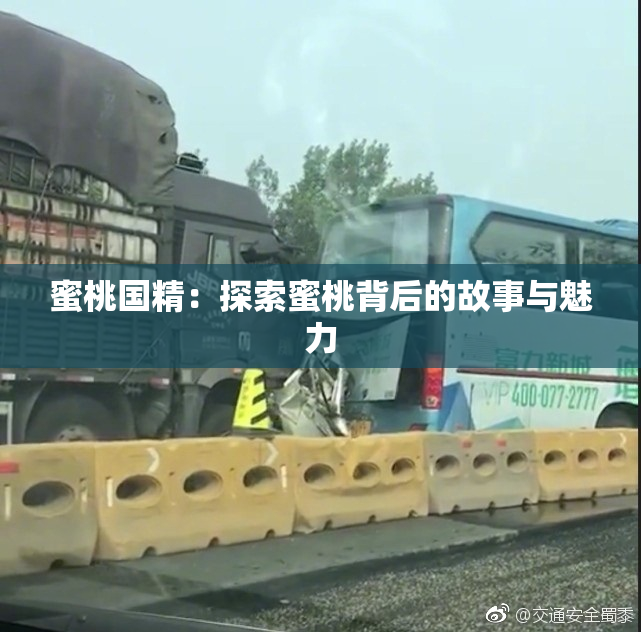 蜜桃国精：探索蜜桃背后的故事与魅力