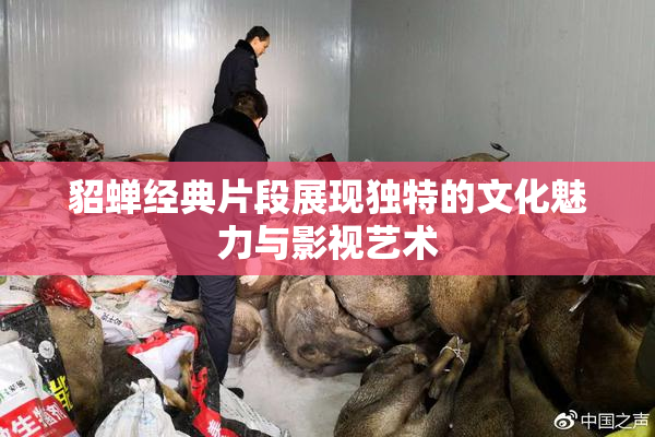 貂蝉经典片段展现独特的文化魅力与影视艺术