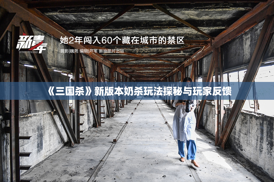 《三国杀》新版本奶杀玩法探秘与玩家反馈