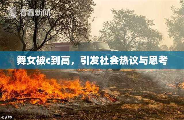 舞女被c到高，引发社会热议与思考