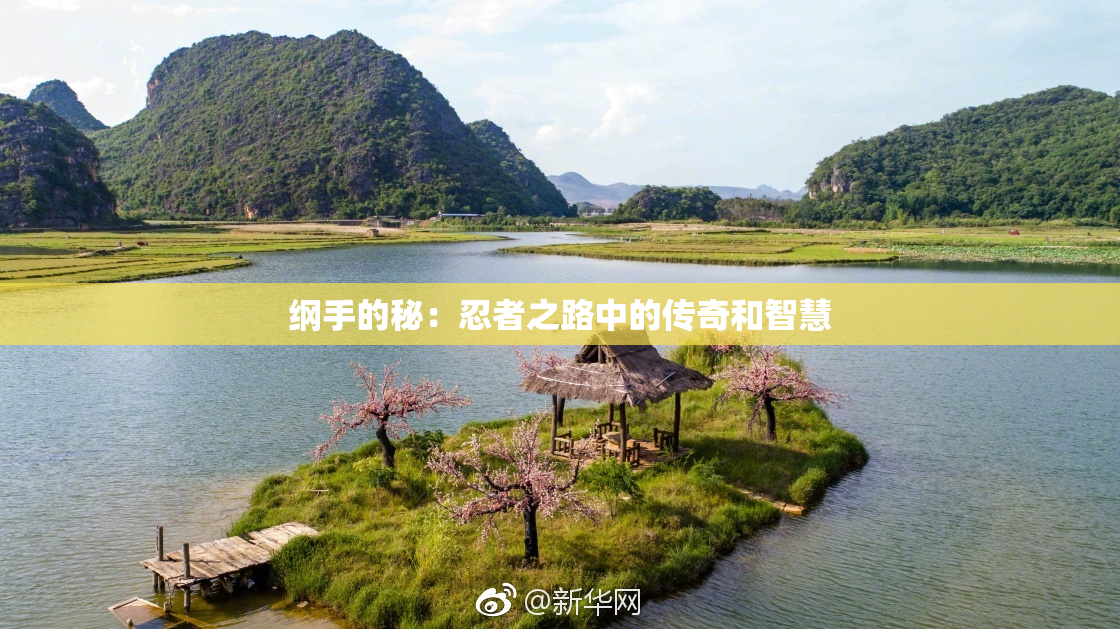 纲手的秘：忍者之路中的传奇和智慧