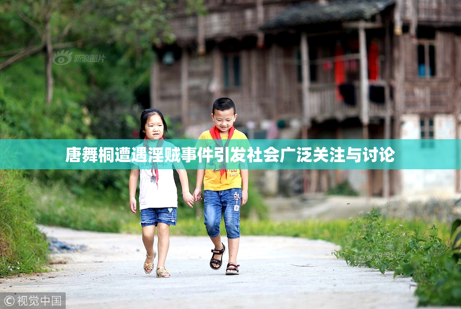 唐舞桐遭遇淫贼事件引发社会广泛关注与讨论