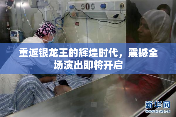 重返银龙王的辉煌时代，震撼全场演出即将开启