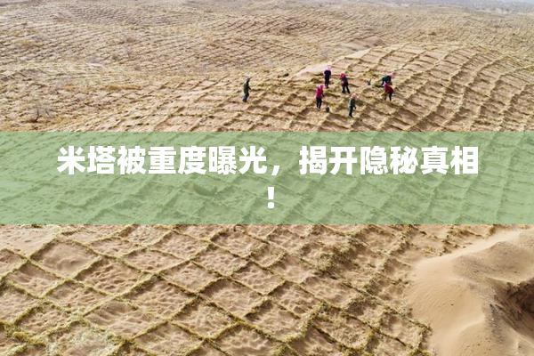米塔被重度曝光，揭开隐秘真相！