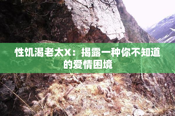 性饥渴老太X：揭露一种你不知道的爱情困境