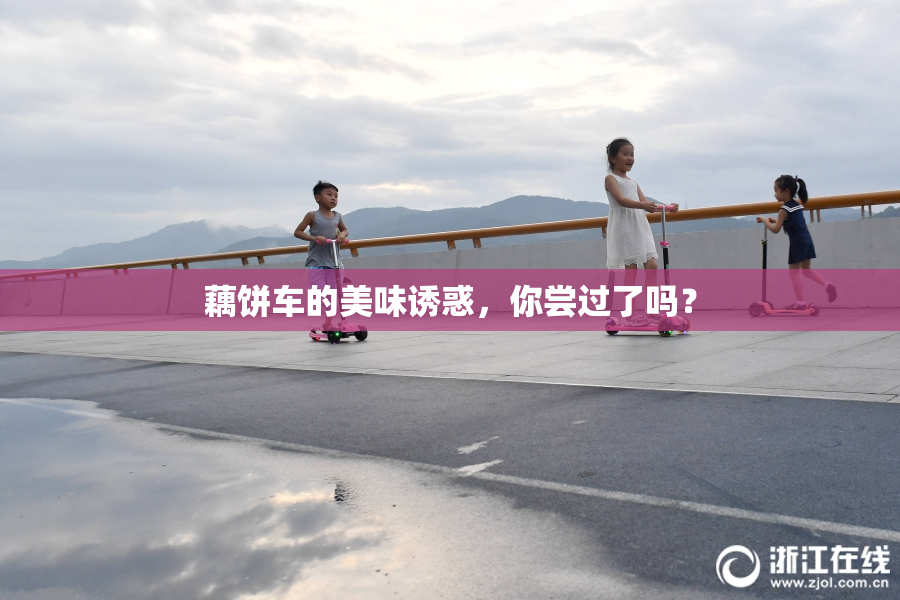 藕饼车的美味诱惑，你尝过了吗？