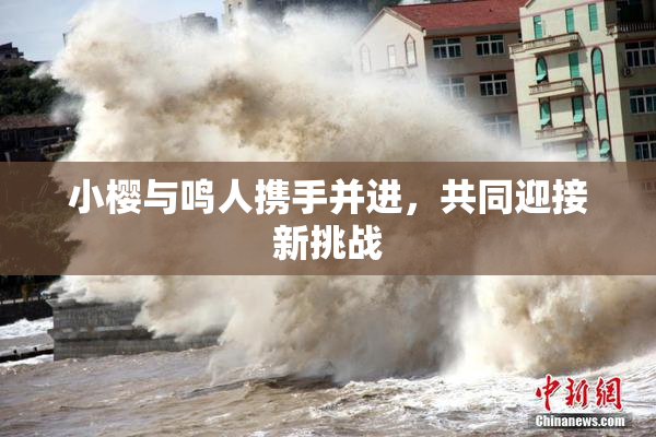 小樱与鸣人携手并进，共同迎接新挑战