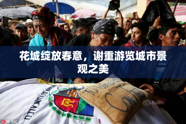 花城绽放春意，谢重游览城市景观之美