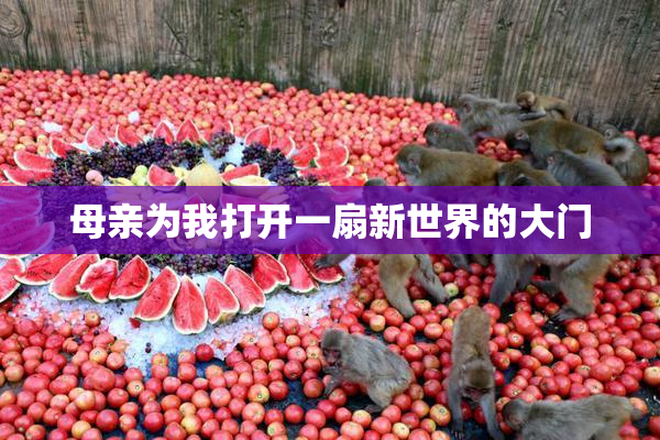 母亲为我打开一扇新世界的大门