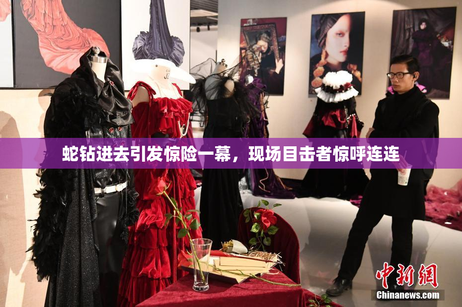 蛇钻进去引发惊险一幕，现场目击者惊呼连连