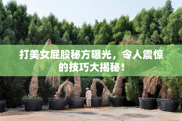 打美女屁股秘方曝光，令人震惊的技巧大揭秘！