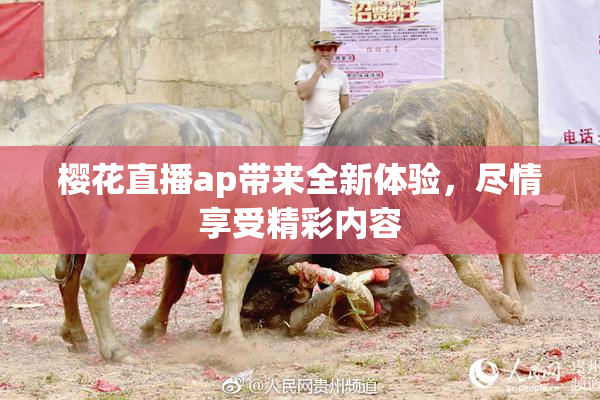 樱花直播ap带来全新体验，尽情享受精彩内容