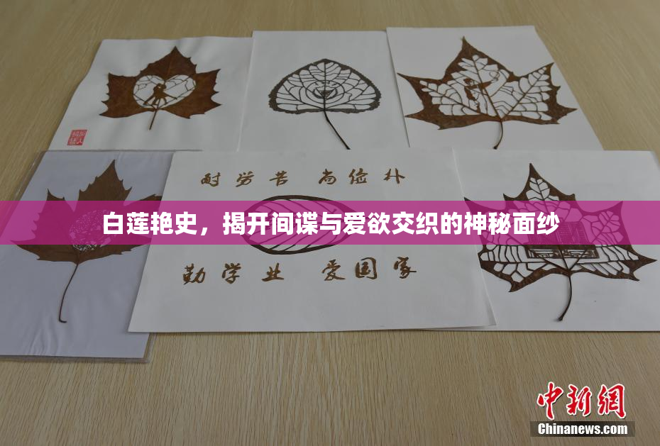 白莲艳史，揭开间谍与爱欲交织的神秘面纱