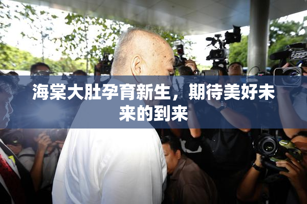 海棠大肚孕育新生，期待美好未来的到来