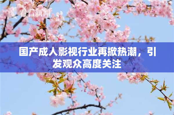 国产成人影视行业再掀热潮，引发观众高度关注