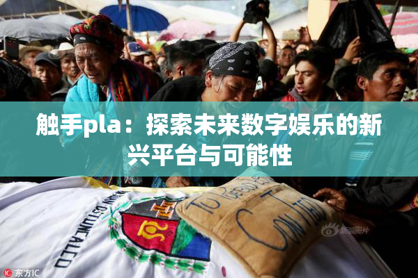 触手pla：探索未来数字娱乐的新兴平台与可能性